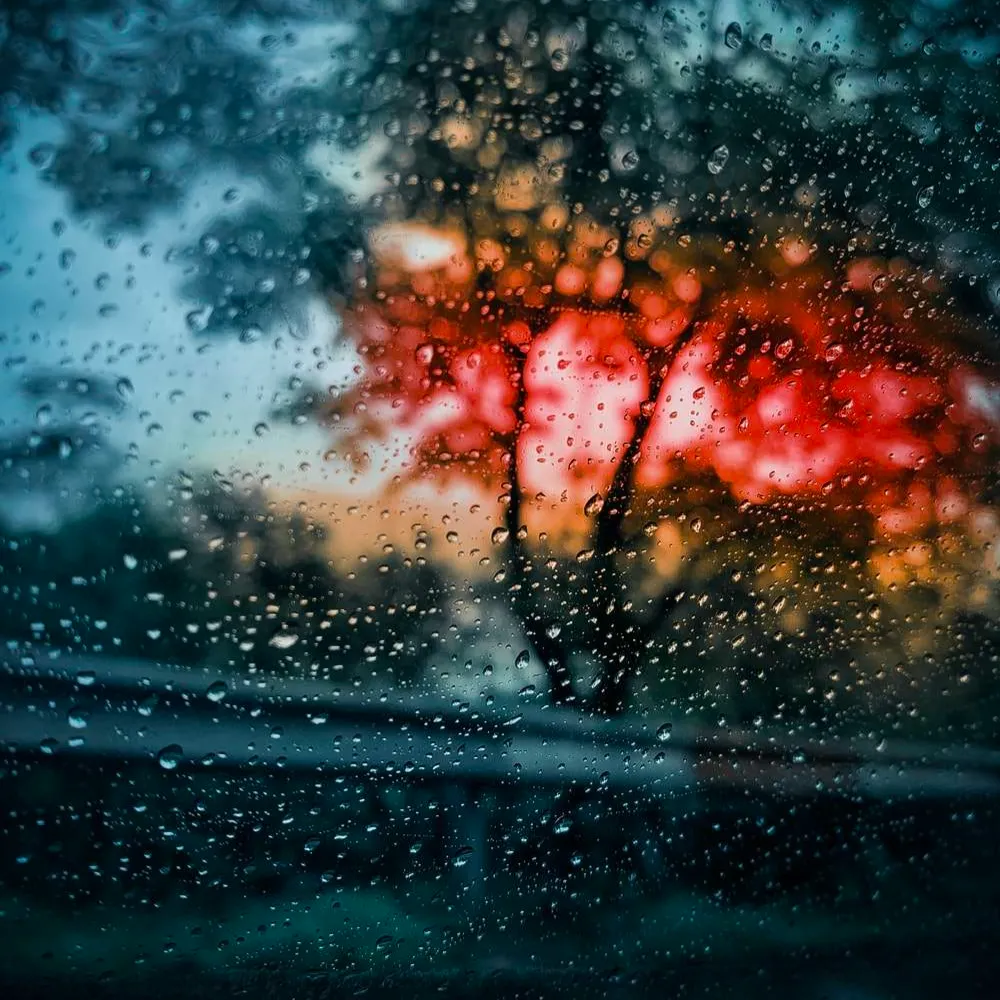 person0z's profile picture